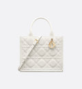 Sac Dior Book Tote Small - #6